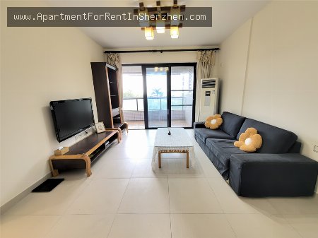 apartments and homes for rent and sale